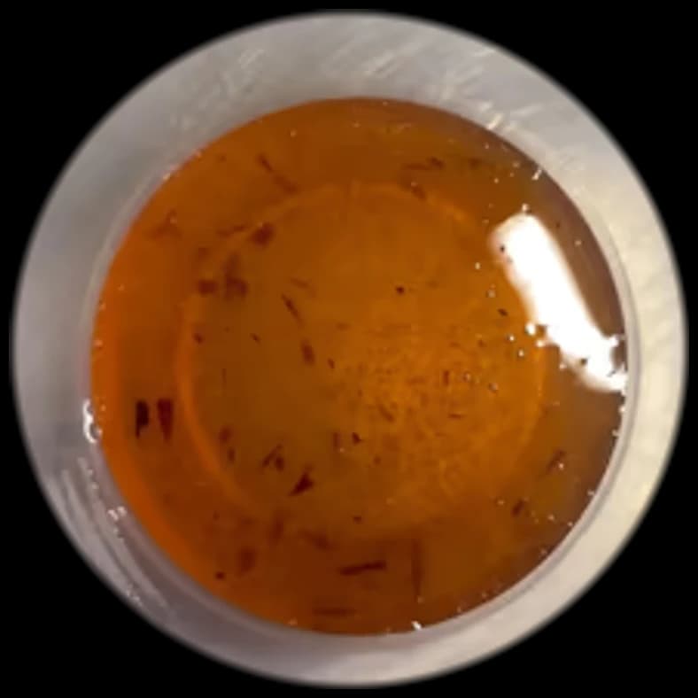 Hot Honey
